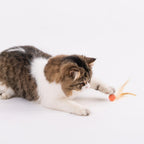 Feather Chase Ball™ – Interactive Feather Ball Toy for Cats